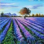 Лавандовое поле