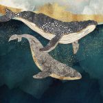 Волшебные киты